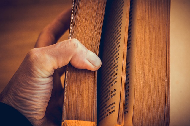 Como criar ficha de personagem de livro?