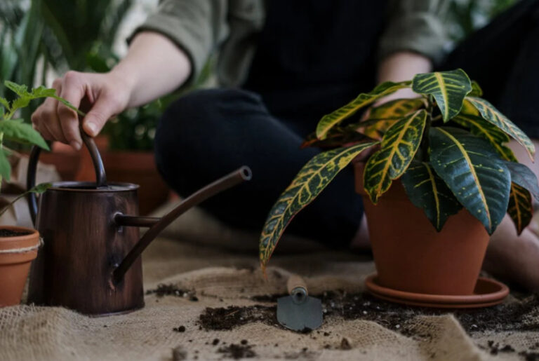 Equipamentos Essenciais Para Montar Um Espaço de Cultivo Eficiente: Guia Prático e Otimização