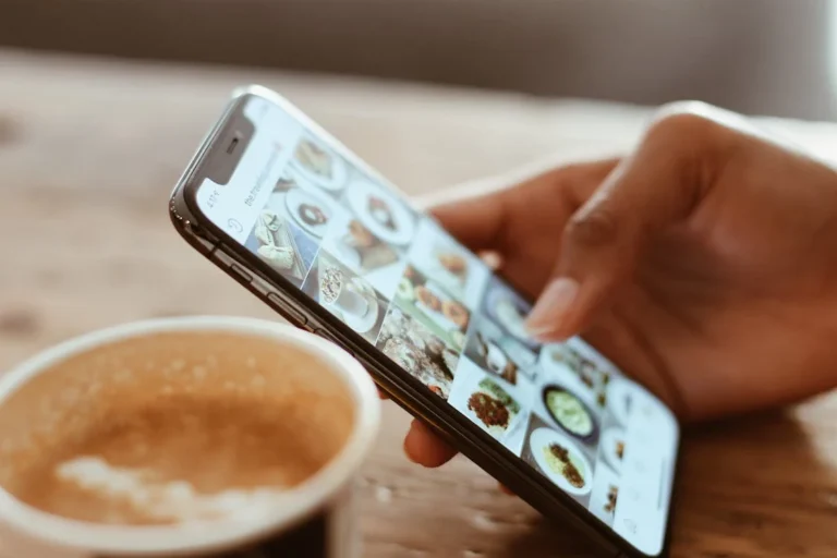 Quais são as fontes do Instagram?