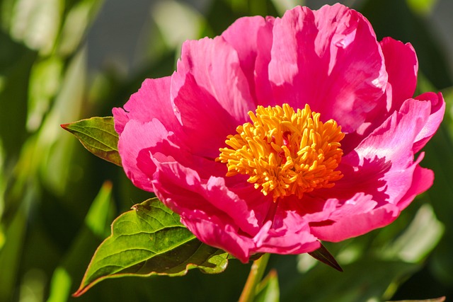 Qual a cor da mistura entre rosa com amarelo?